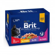 BRIT PREMIUM ΓΑΤΑΣ GRAVY FAMILY PACK (12x100gr)