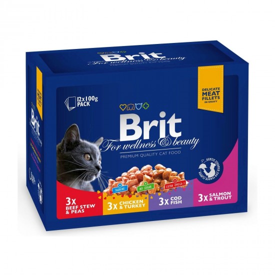 BRIT PREMIUM ΓΑΤΑΣ GRAVY FAMILY PACK (12x100gr)