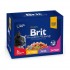 BRIT PREMIUM ΓΑΤΑΣ GRAVY FAMILY PACK (12x100gr)