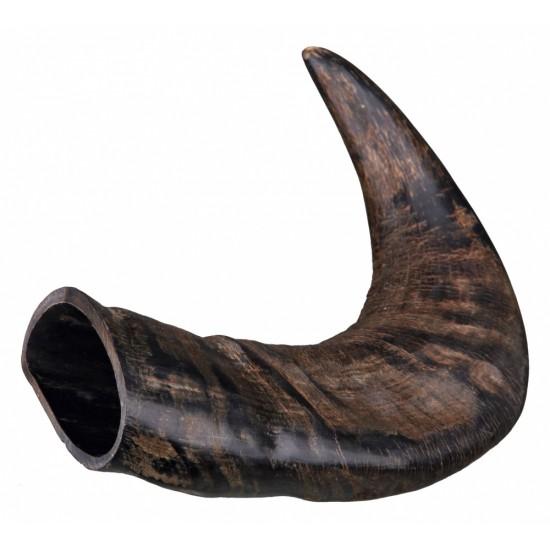 BUFFALO CHEWING HORN