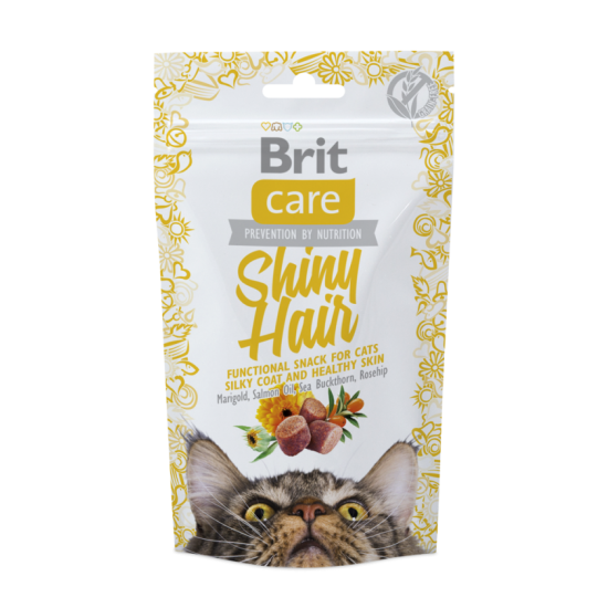 BRIT CARE FUNCTIONAL SHINY HAIR ΓΑΤΑΣ 50gr