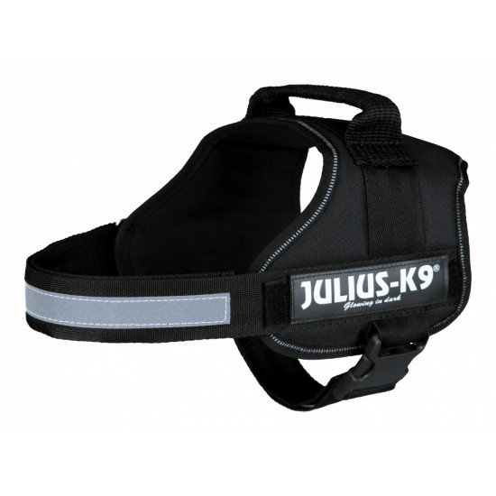 JULIUS-K9 GLOWING IN DARK L BLACK