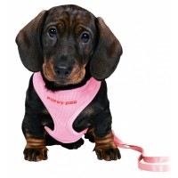 PUPPY SOFT HARNESS WITH LEASH