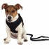 PUPPY SOFT HARNESS WITH LEASH