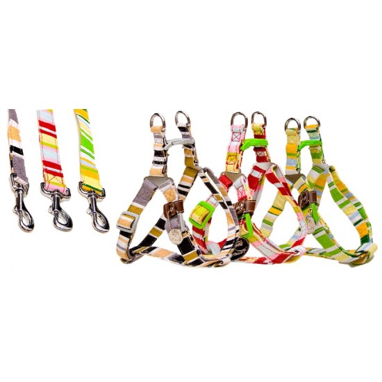 ΣΕΤ ΡΥΘΜΙΖΟΜΕΝΟ ΣΑΜΑΡΑΚΙ ΚΑΙ ΟΔΗΓΟΣ