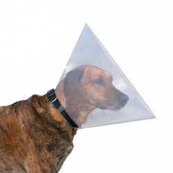 PROTECTIVE COLLARS FOR DOGS