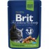 BRIT PREMIUM ΓΑΤΑΣ CHICKEN GRAVY STERILISED 100gr