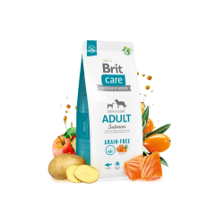 BRIT CARE ΣΚΥΛΟΥ GRAIN FREE ADULT SALMON AND POTATO 12kg
