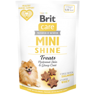 BRIT MINI FUNCTIONAL ΣΚΥΛΟΥ SHINE 50gr