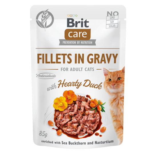 BRIT CARE ΓΑΤΑΣ GRAVY ADULT ΠΑΠΙΑ 85gr