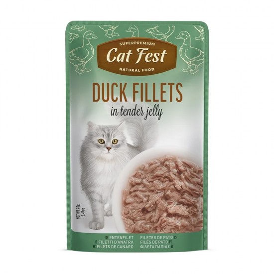 CAT FEST ΦΙΛΕΤΑΚΙΑ ΠΑΠΙΑΣ σε ΖΕΛΕ 70gr