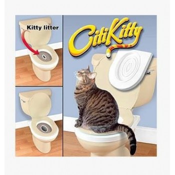 CITI KITTY CITI KITTY