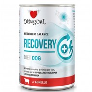 DISUGUAL RECOVERY ΚΛΙΝΙΚΗ ΚΟΝΣΕΡΒΑ ΣΚΥΛΟΥ ME APNI 400gr