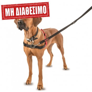 HALTI HARNESS ΣΑΜΑΡΑΚΙ ΣΚΥΛΟΥ SMALL
