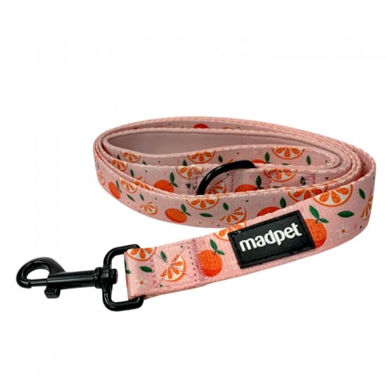 MADPET ΟΔΗΓΟΣ ΣΚΥΛΟΥ MANDARIN Small