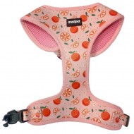 MADPET ΣΑΜΑΡΑΚΙ ΣΚΥΛΟΥ MANDARIN Large