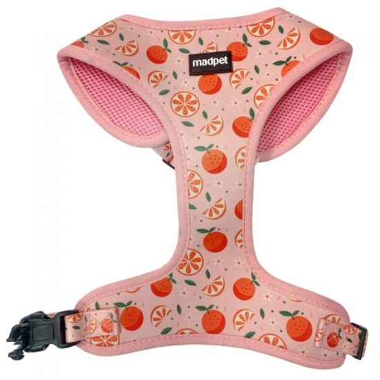 MADPET ΣΑΜΑΡΑΚΙ ΣΚΥΛΟΥ MANDARIN Large