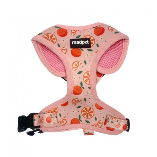 MADPET ΣΑΜΑΡΑΚΙ ΣΚΥΛΟΥ MANDARIN XSmall