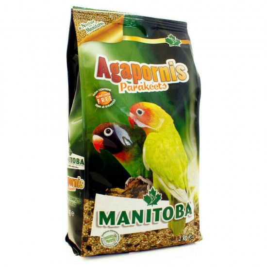 MANITOBA AGAPORNIS για ΜΕΣΑΙΟΥΣ ΠΑΠΑΓΑΛΟΥΣ 1kg