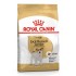 ROYAL CANIN JACK RUSSELL ADULT 1,5kg
