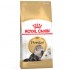 ROYAL CANIN PERSIAN 10kg