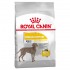 ROYAL CANIN MAXI DERMACOMFORT 12kg