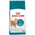 ROYAL CANIN HEALTHY AGEING STERILISED 11+ 400gr
