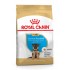 ROYAL CANIN GERMAN SHEPHERD PUPPY 12kg