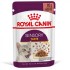 ROYAL CANIN Sensory Taste Gravy