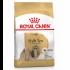ROYAL CANIN SHIH TZU ADULT 1.5kg