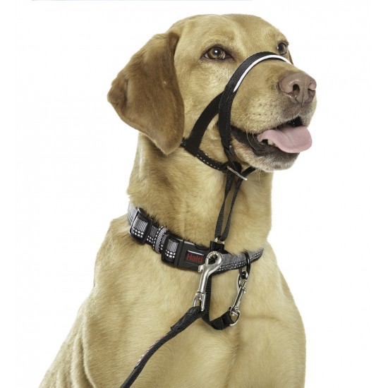 HALTI HEADCOLLAR ΕΚΠΑΙΔΕΥΤΙΚΟ ΚΟΛΑΡΟ ΣΚΥΛΟΥ No2