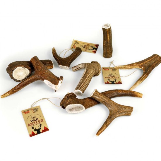 WILD ANTLER ΦΥΣΙΚΟ ΚΕΡΑΤΟ ΕΛΑΦΙΟΥ Large 85-125gr
