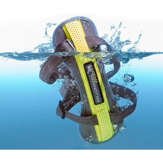 BELLOMANIA LEASH AND HARNESS