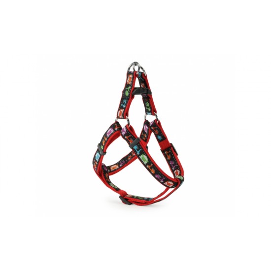 CAMON ΣΕΤ ΜΕ ΒΕΣΠΑ