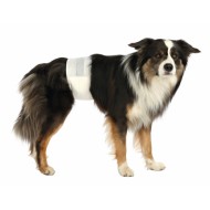 TRIXIE DIAPERS FOR MALE DOGS