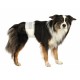 TRIXIE DIAPERS FOR MALE DOGS