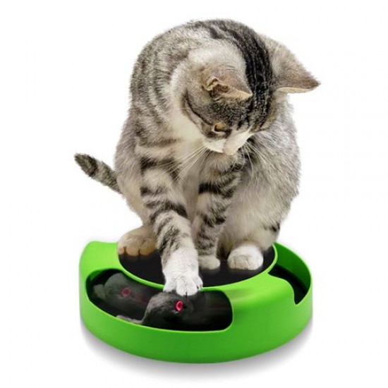 PAWISE CATCH THE MOUSE ΠΑΙΧΝΙΔΙ ΓΑΤΑΣ 6x25cm