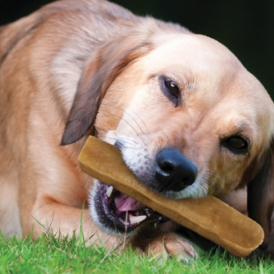 YAKERS 100% ΦΥΣΙΚΗ ΛΙΧΟΥΔΙΑ ΣΚΥΛΟΥ Medium