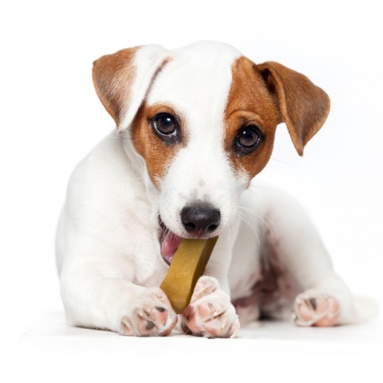 YAKERS 100% ΦΥΣΙΚΗ ΛΙΧΟΥΔΙΑ ΣΚΥΛΟΥ Medium